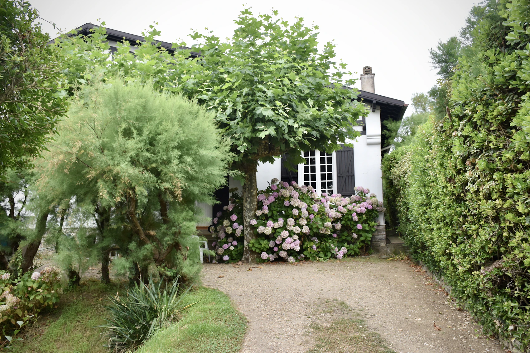 Le gîte Ti Avel, maison blanche et son grand jardin d'hortensias