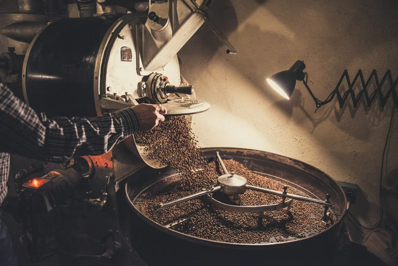 Torréfaction du café : versement des grains dans le torréfacteur